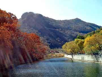 天天彩好彩天天免费，都市异能排行榜